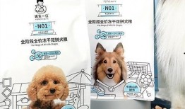 诚实一口狗粮爆料视频下载,诚实一口视频下载背后的真实故事